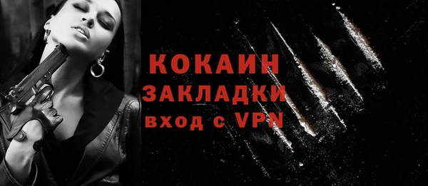 стафф Арсеньев