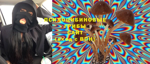 стафф Арсеньев