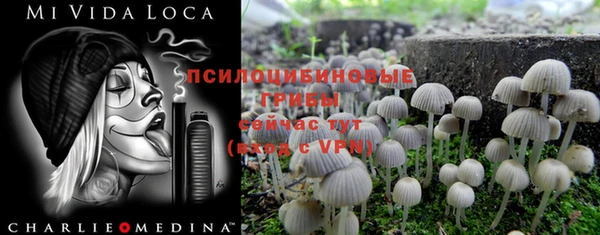 молекула духа Армянск